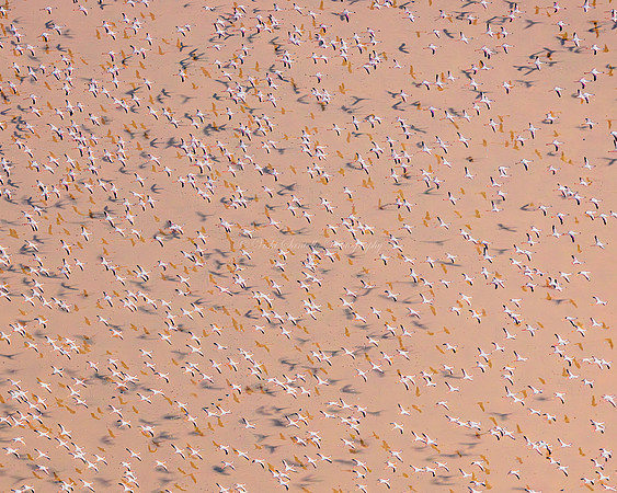 2024, Refocus World Photo, Silver Award, Aerial