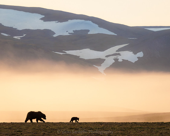 2025, North American Association of Nature Photography