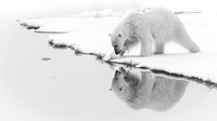 2026, Exposure 1 One Shot, Wildlife Category