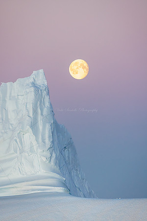 2026, Refocus Color Awards, Minimalism Category