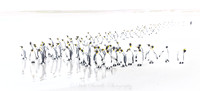 The Gathering