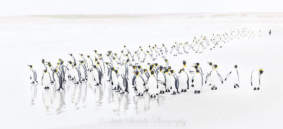 The Gathering