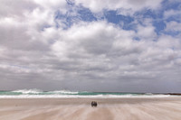 Category Top 100, WildArt POTY, 2023, Space