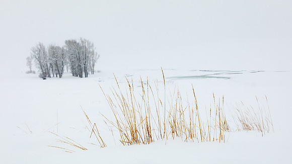 Winter's Artistic Brush