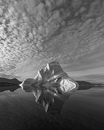 2025, MUSE, Platinum Winner, B&W Category, Wildlife